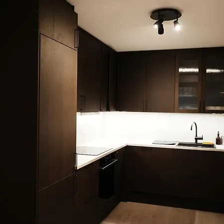 Modern Spacious In Toyen Appartamento